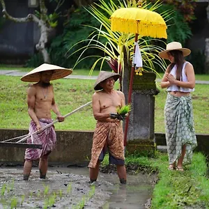 Umae , Ubud Indonésie